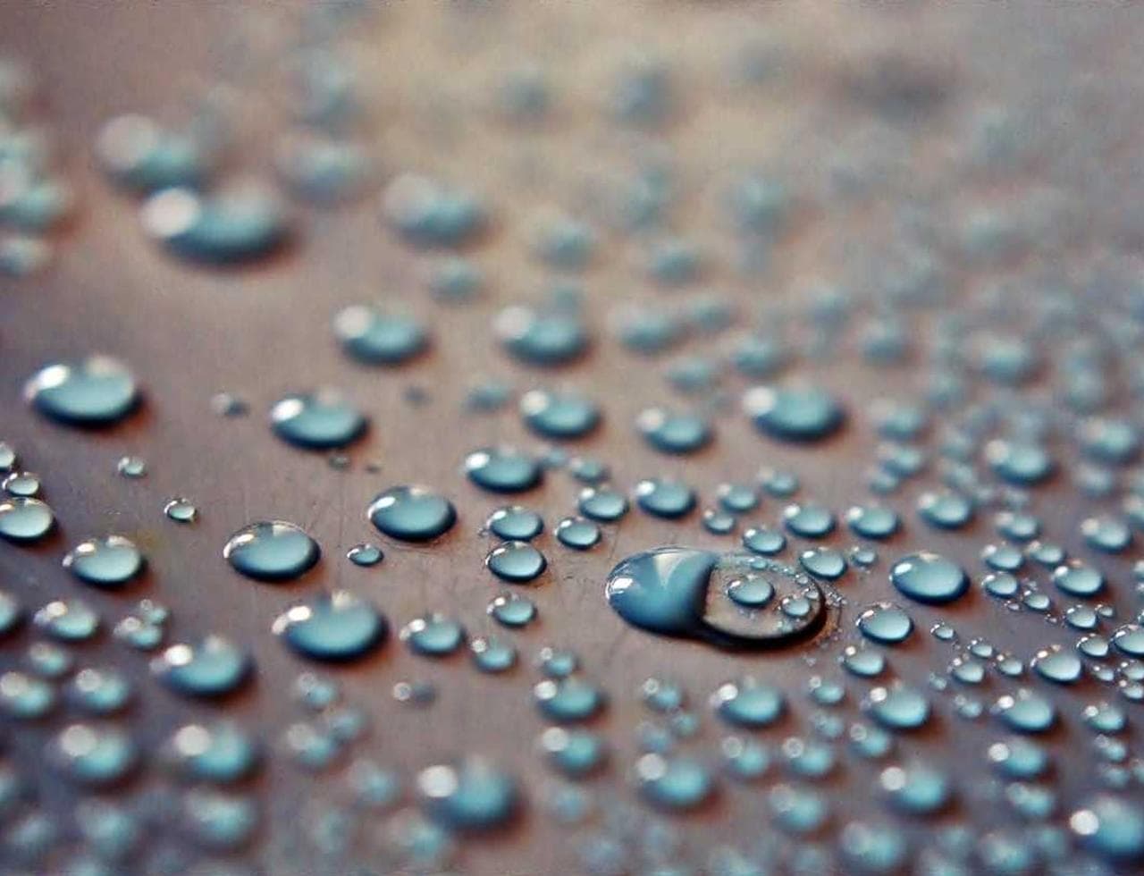 세계청년대회 D-200 기념 미사 안내